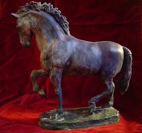 cavallo Cosimo I