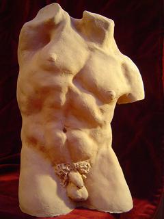 torso 4